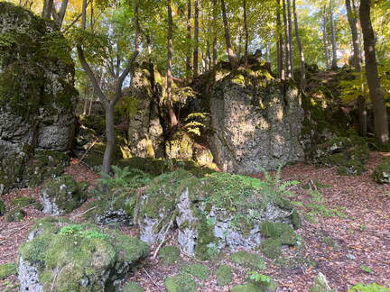 22-10-09 16-51-54 2591